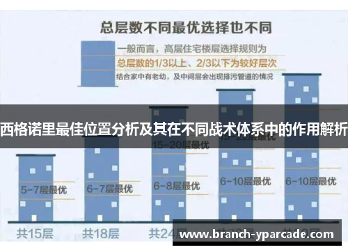 西格诺里最佳位置分析及其在不同战术体系中的作用解析