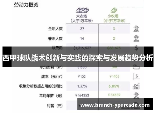 西甲球队战术创新与实践的探索与发展趋势分析