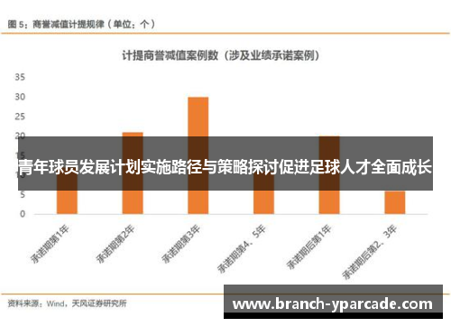 青年球员发展计划实施路径与策略探讨促进足球人才全面成长