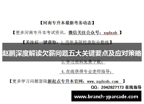 赵鹏深度解读欠薪问题五大关键要点及应对策略