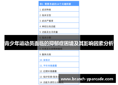 青少年运动员面临的抑郁症困境及其影响因素分析