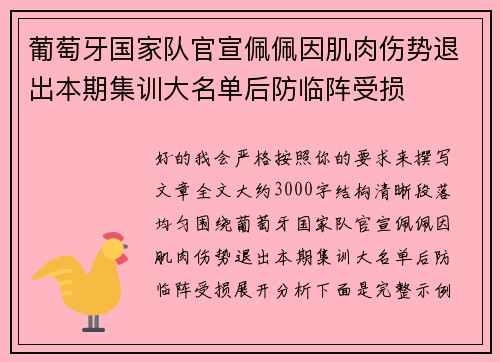 葡萄牙国家队官宣佩佩因肌肉伤势退出本期集训大名单后防临阵受损