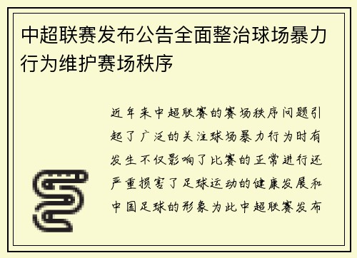 中超联赛发布公告全面整治球场暴力行为维护赛场秩序