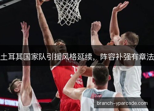 土耳其国家队引援风格延续，阵容补强有章法